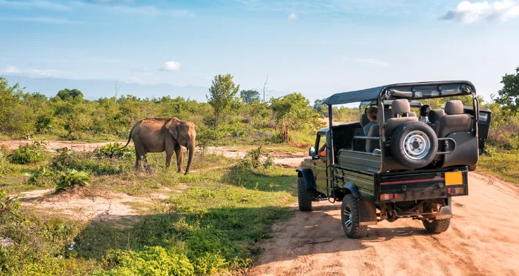 Golden Triangle Tour Package India, Rajasthan Tour Package