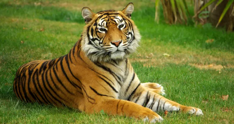 Golden Triangle Tour Package India, Rajasthan Tour Package