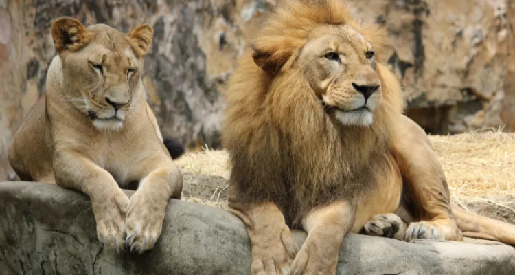 Golden Triangle Tour Package India, Rajasthan Tour Package