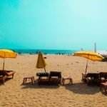 a group of chairs and umbrellas on a beach