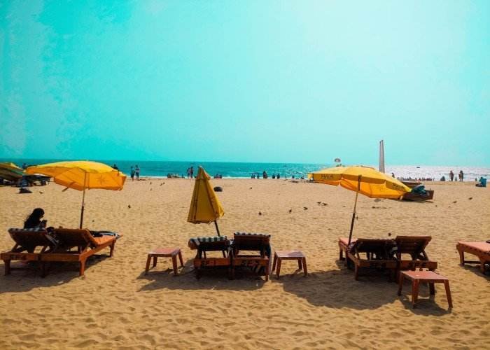 a group of chairs and umbrellas on a beach