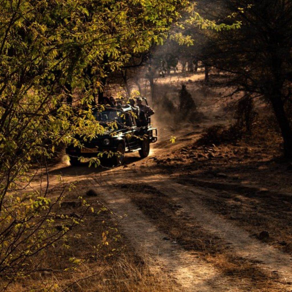 trip in india