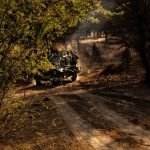 trip in india