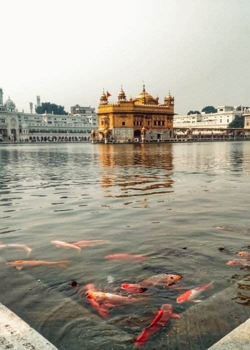 Luxury GOLDEN TRIANGLE TOUR WITH AMRITSAR