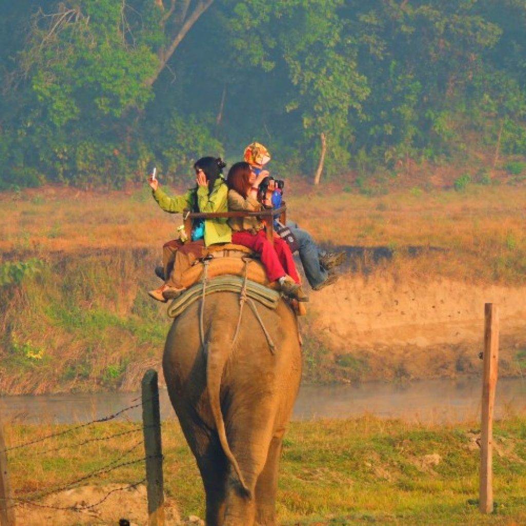 golden triangle tour 5 days