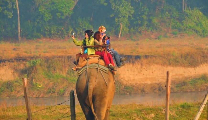 golden triangle tour 5 days
