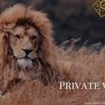 Private Wildlife Tours in India