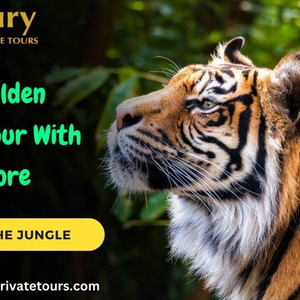 Golden Triangle Tour With Ranthambore Safari