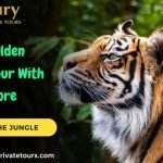 Golden Triangle Tour With Ranthambore Safari