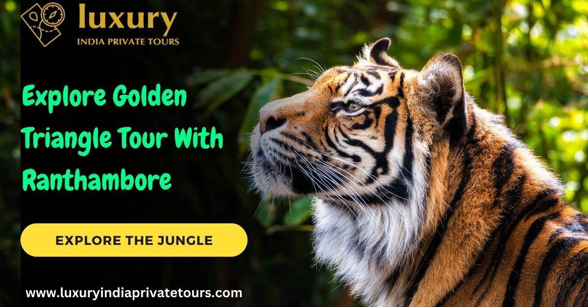 Golden Triangle Tour With Ranthambore Safari