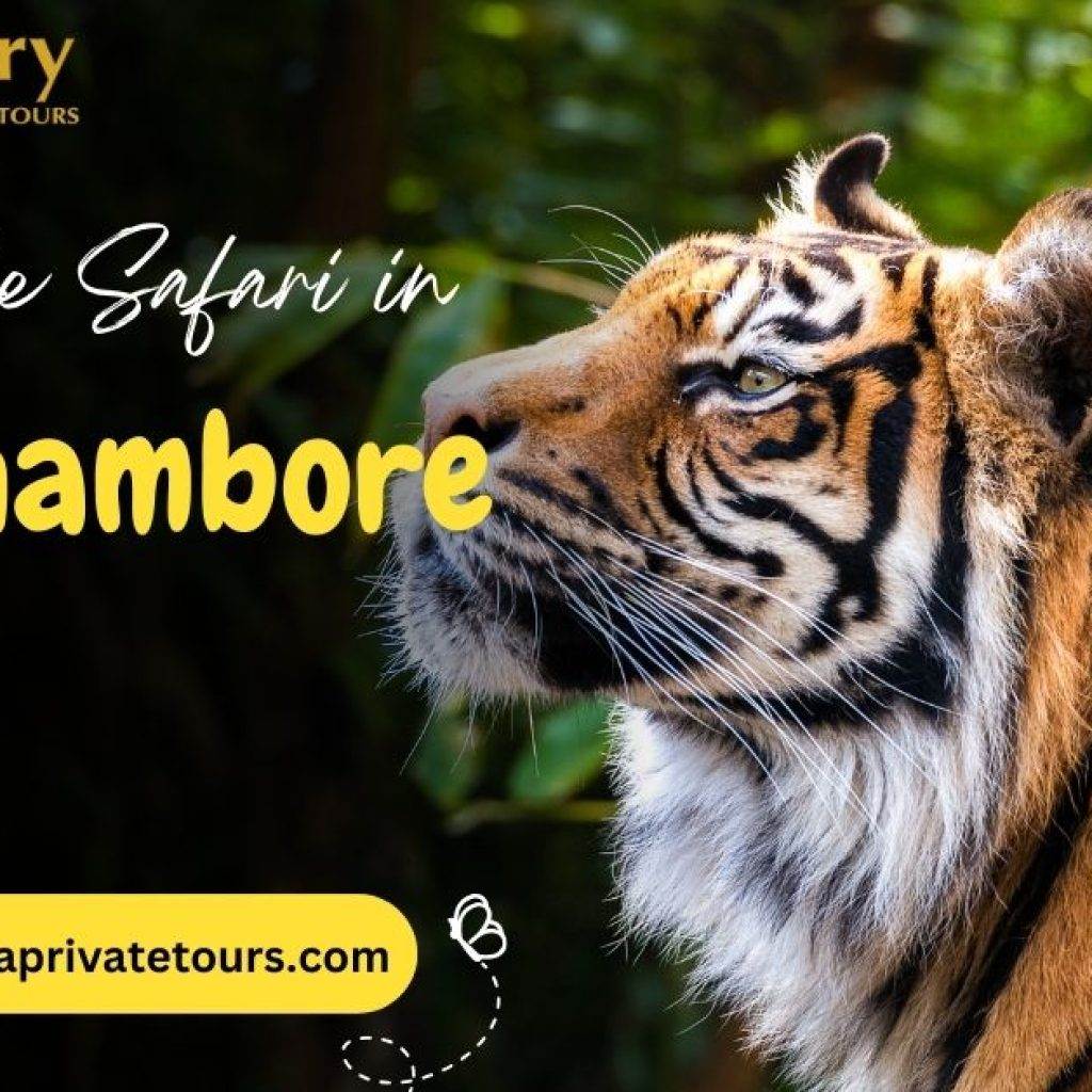 Ranthambore Tour India