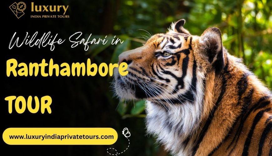 Ranthambore Tour India