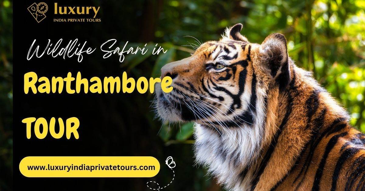 Ranthambore Tour India