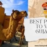 Best places to visit in Gujarat