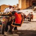 amer fort