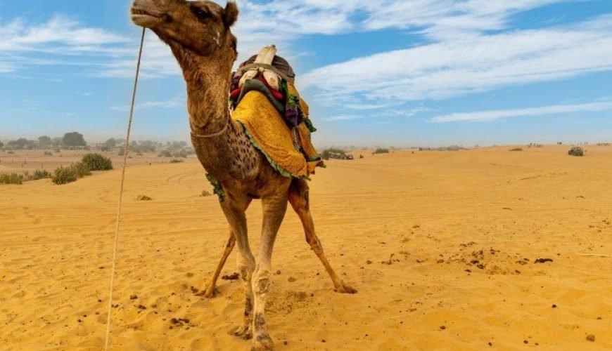 Must-See Places on Golden Triangle Tour