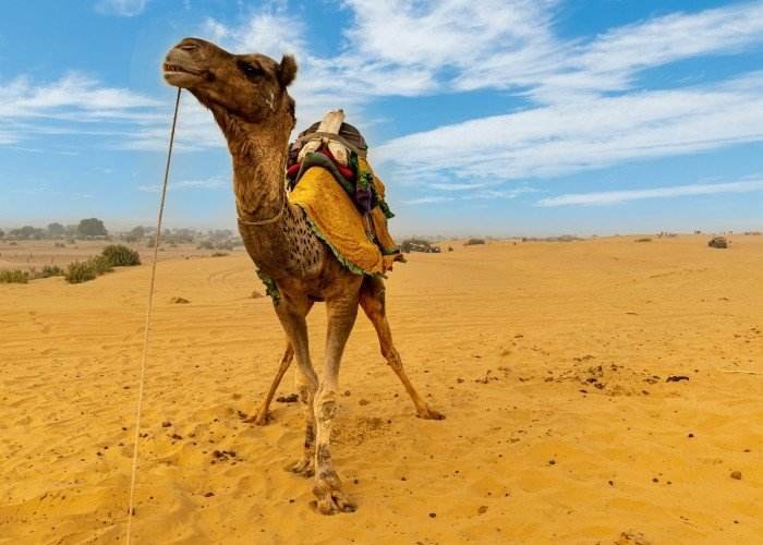Must-See Places on Golden Triangle Tour