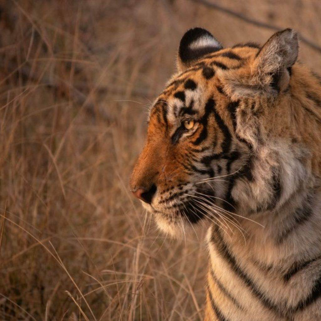 best time to visit rajasthan