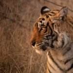 best time to visit rajasthan
