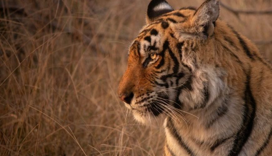 best time to visit rajasthan