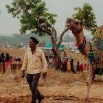 Festivals on the Golden Triangle Tour