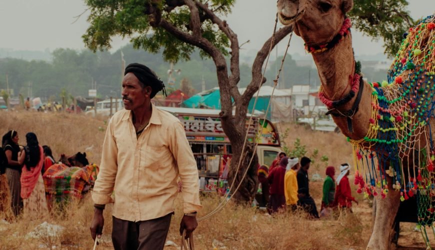 Festivals on the Golden Triangle Tour