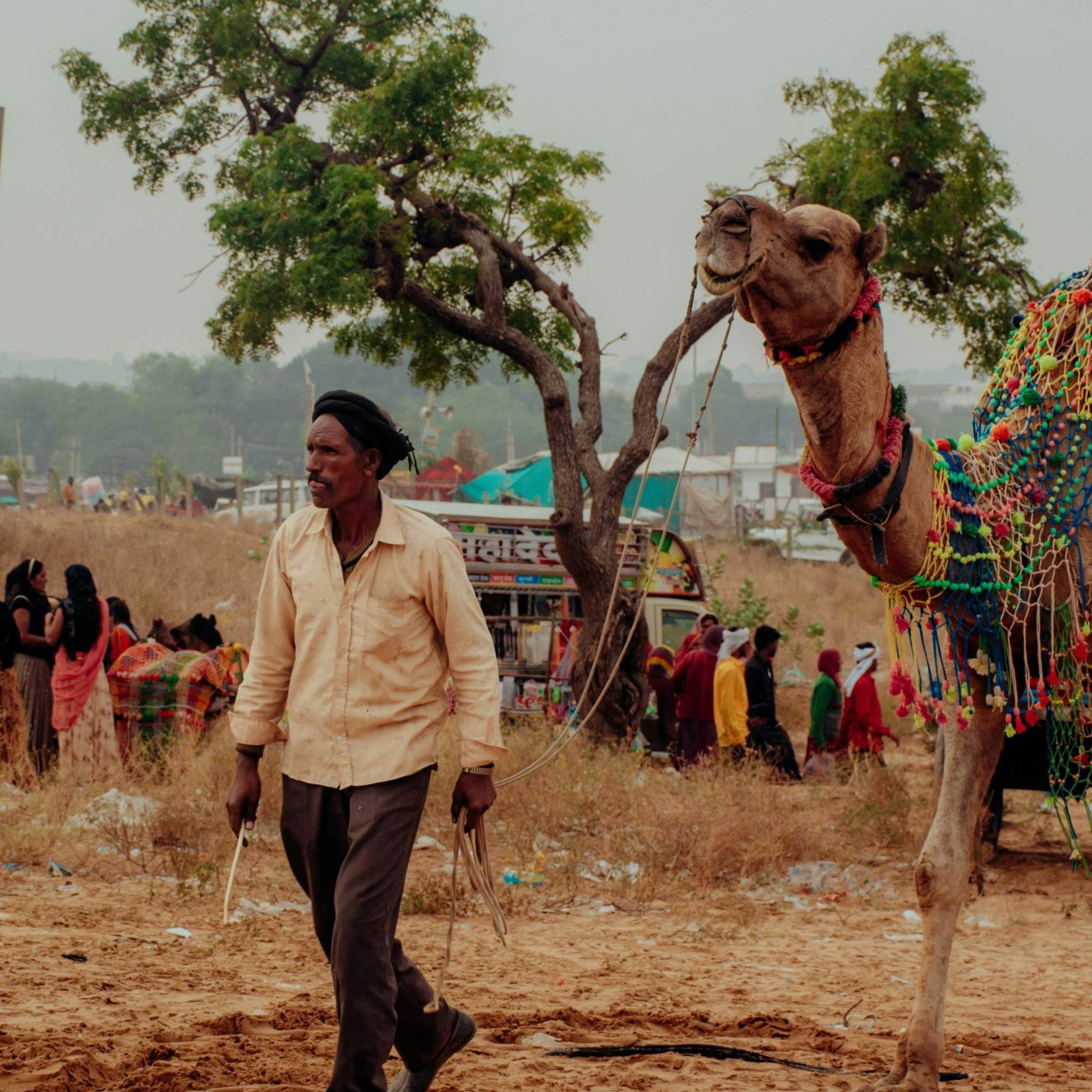 Festivals on the Golden Triangle Tour