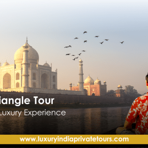 Golden Triangle Tour