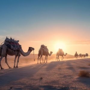 Jaisalmer – The Golden Fortress