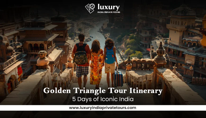 Tourists on steps overlooking historic Indian city, Golden Triangle Tour