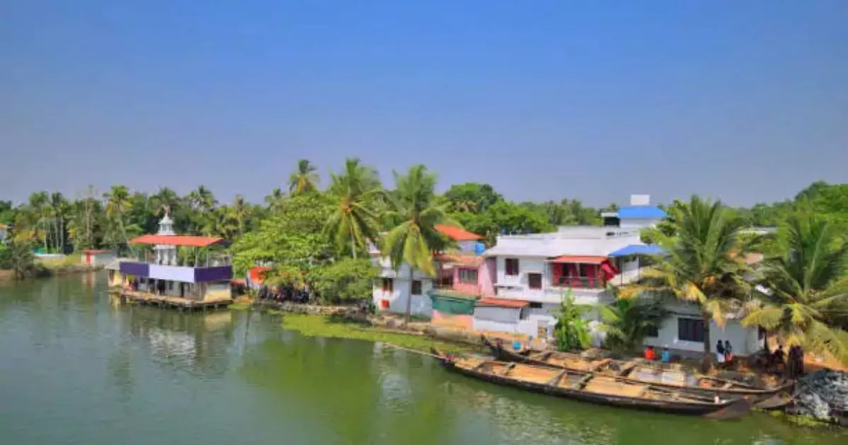 Alleppey & Kavvayi backwaters with luxury cruise boats, lush greenery, and houses 