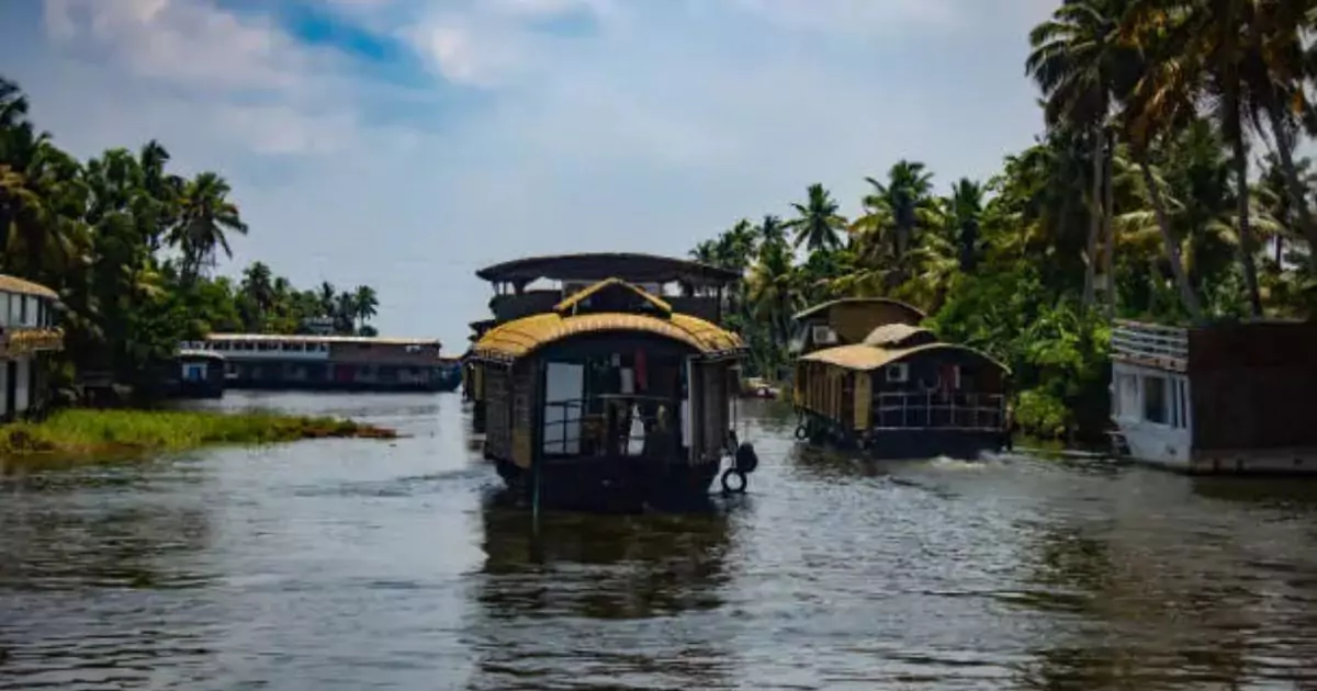 Vembanad Lake with luxury houseboats and lush palm trees 