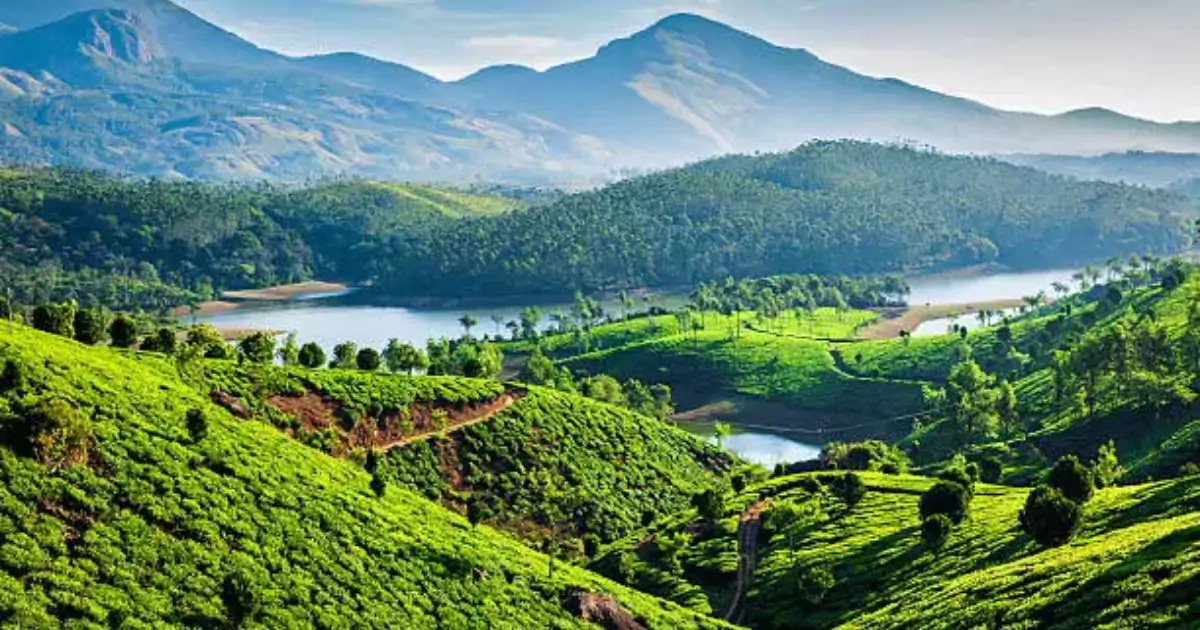 Scenic view of Munnar tea plantations with rolling hills and a serene river 