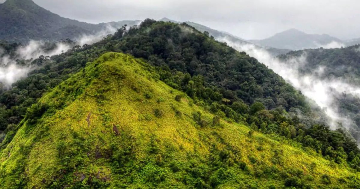 Silent Valley National Park with misty rainforest hills 