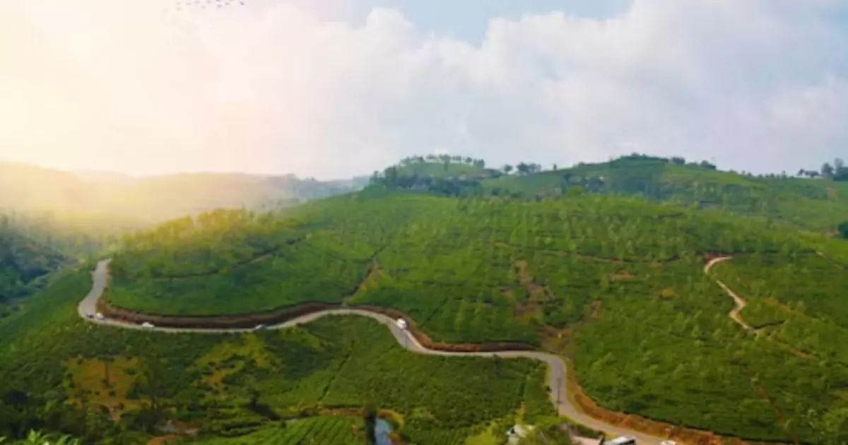 Vagamon hill station with lush green meadows and winding road 