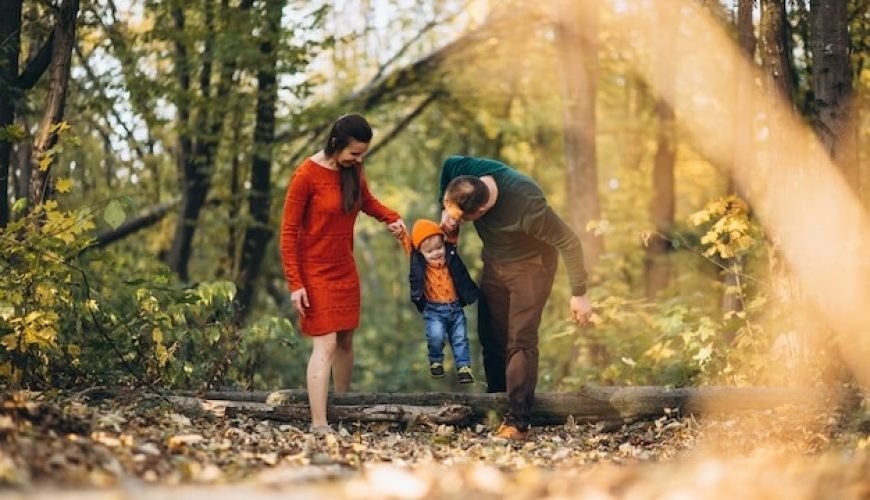 Best Places in India for Wildlife & Nature Lovers