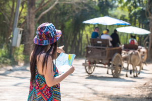 private guided India trip cost