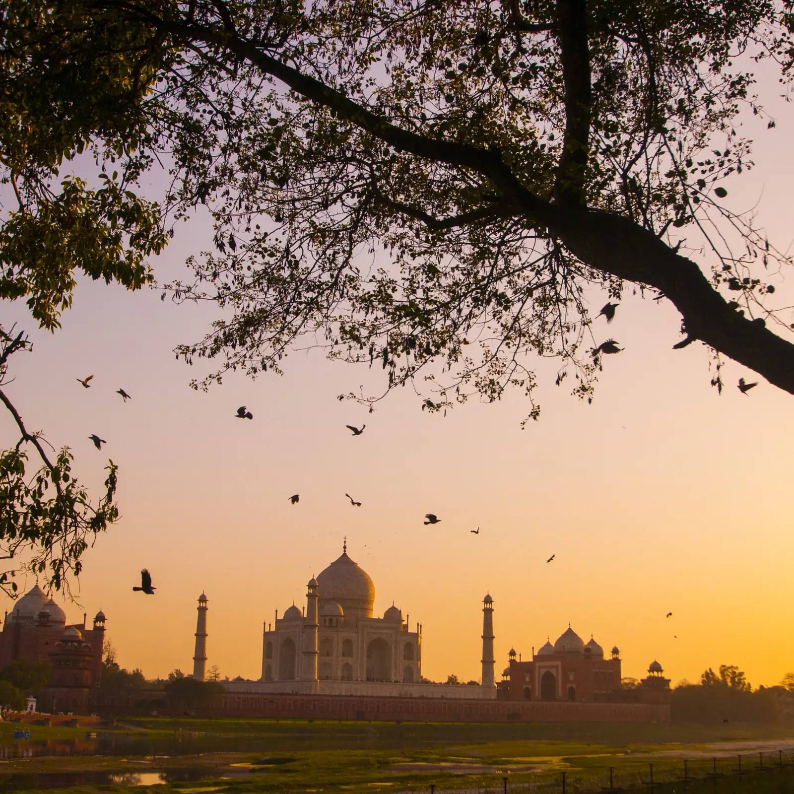 India Private Tours From France